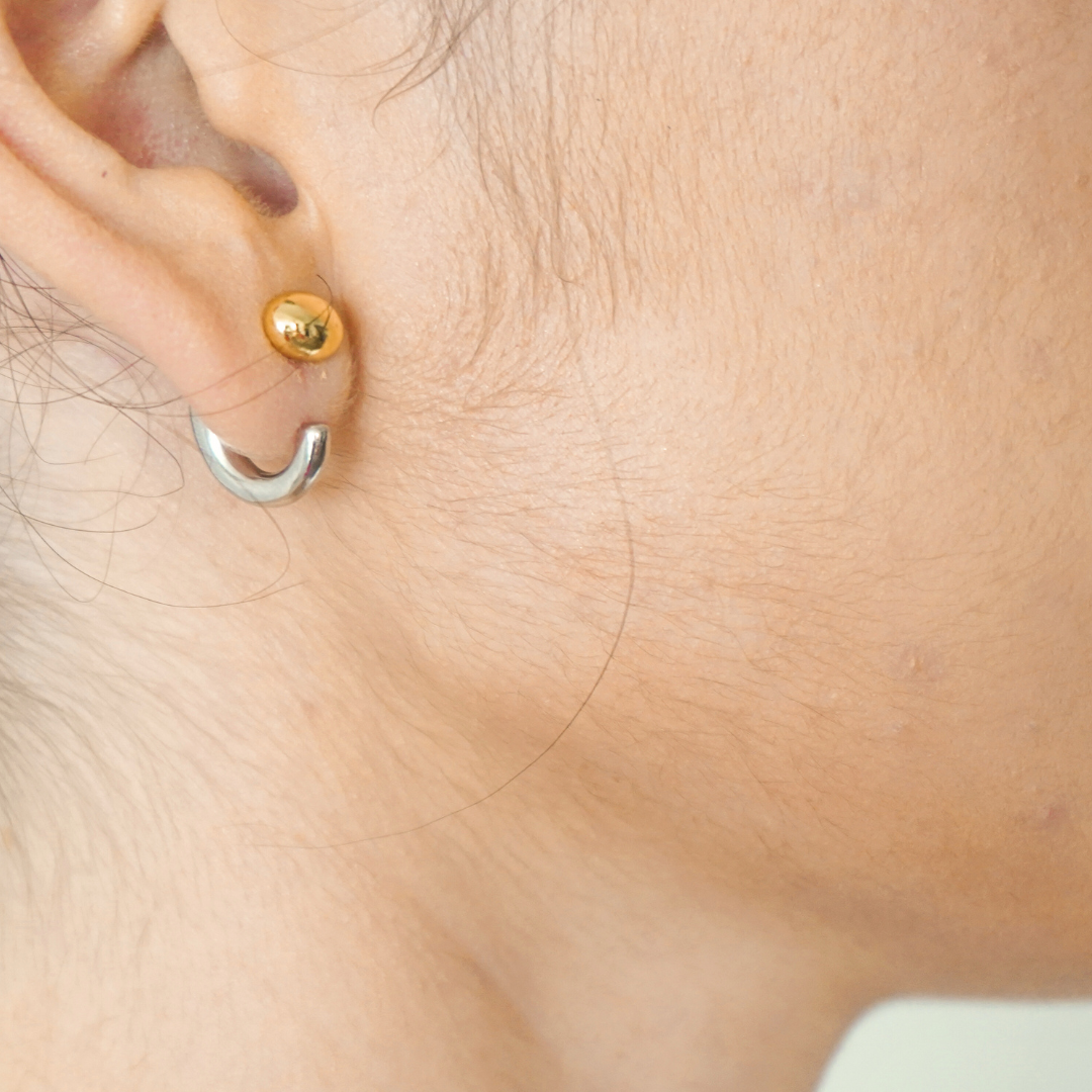 Aretes Taurus